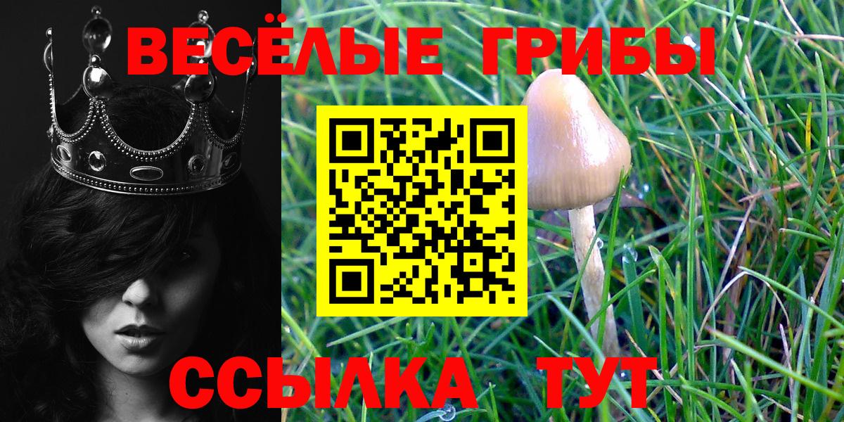 Псилоцибиновые грибы Cubensis  Вход с VPN  Уфа  Галлюциногенные грибы Psilocybe 
